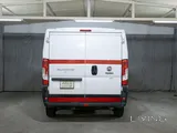 Fiat Ducato Professional 2020